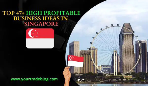 Business Ideas in Singapore