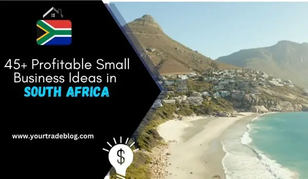 Small Business Ideas For South Africa