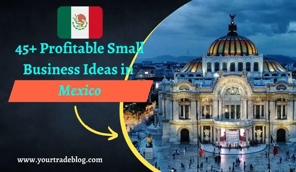 Small Business Ideas in Mexico