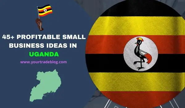 Small Business Ideas in Uganda