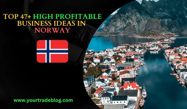 Small Business Ideas to Start in Norway